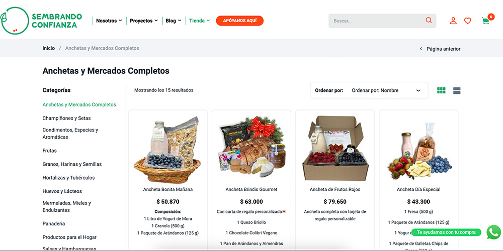 Creación página web