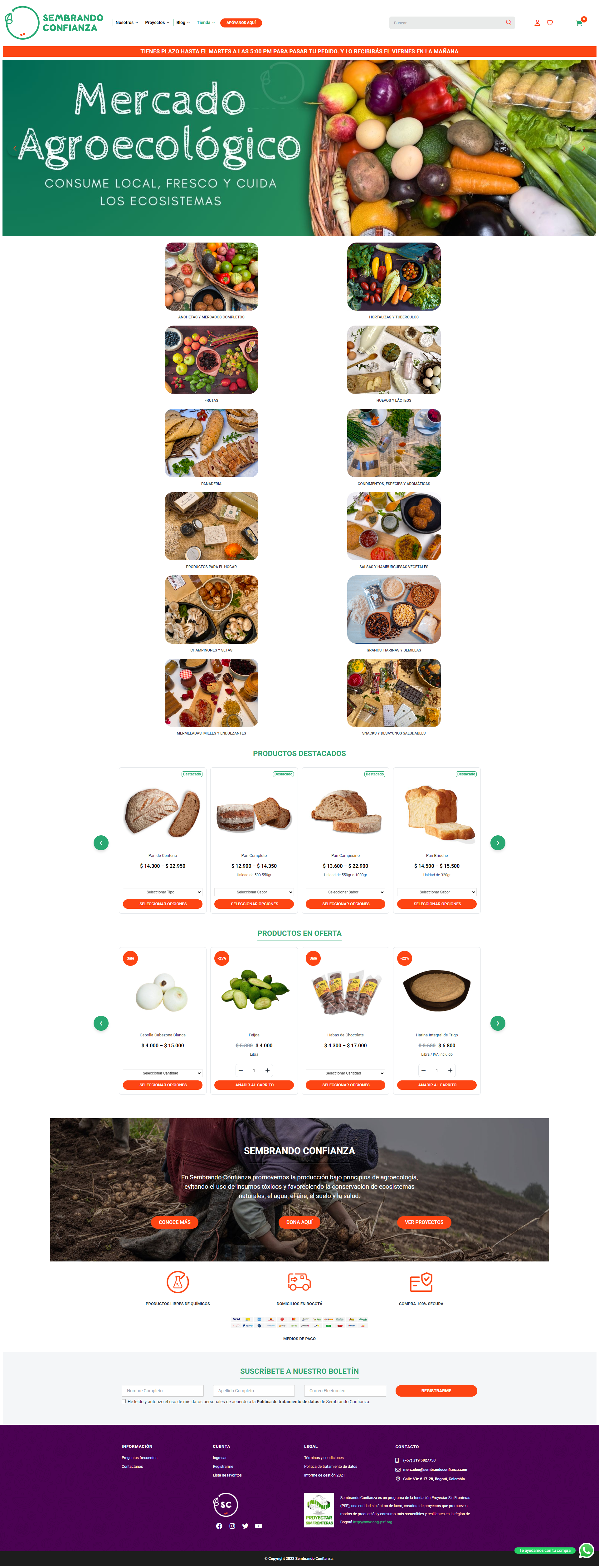 Creación página web